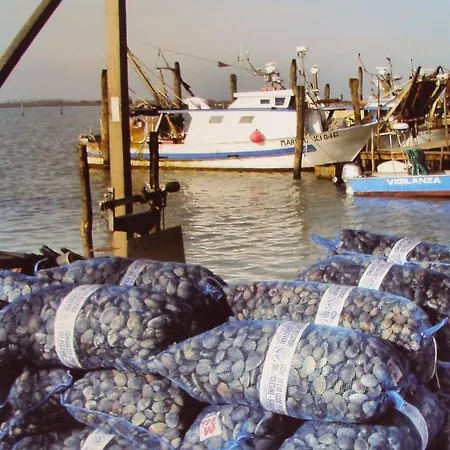 Affittacamere Alloggio Al Rustico Taglio di Po